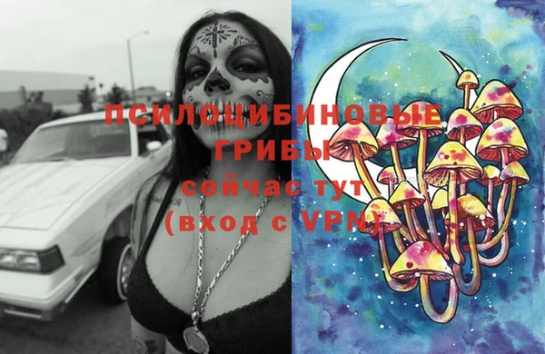тгк Костерёво