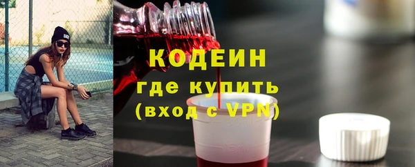 молекула духа Киреевск
