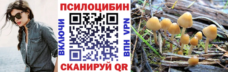 Псилоцибиновые грибы Psilocybe  Называевск 